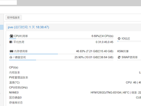 Proxmox VE PCIe硬件直通